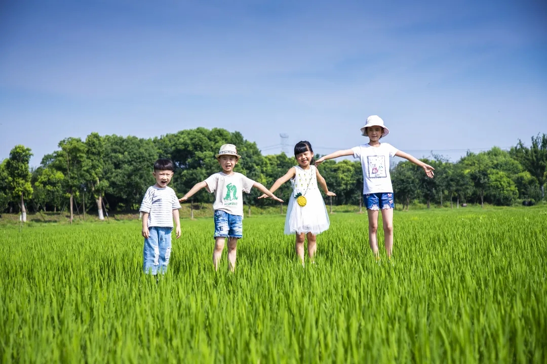 乌村夏令营4.0来袭，回爷爷家过暑假！